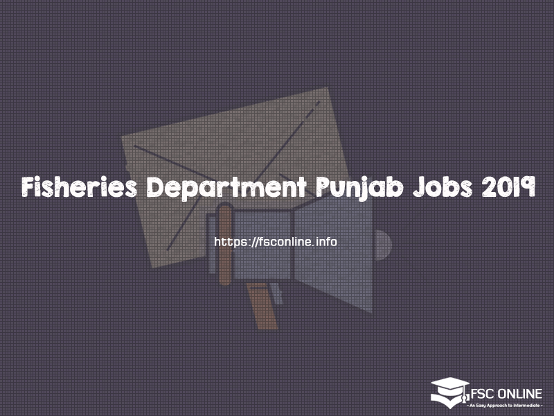 Fisheries Department of Punjab Latest Jobs 2019 | Govt of Punjab Jobs Fisheries Department Punjab Jobs 2019