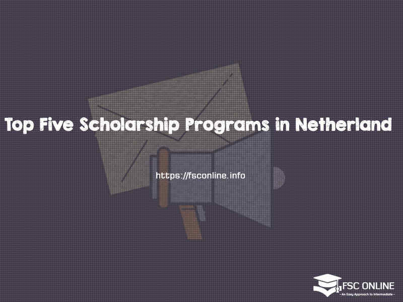 Top Five Scholarship Programs in Netherland for International Students Netherland Scholaships