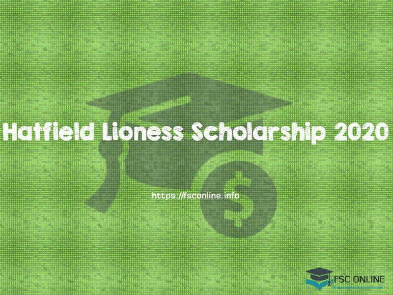 Hatfield Lioness Scholarship 2020 For Women | Eligibility Criteria | How to Apply Hatfield Lioness Scholarship 2020