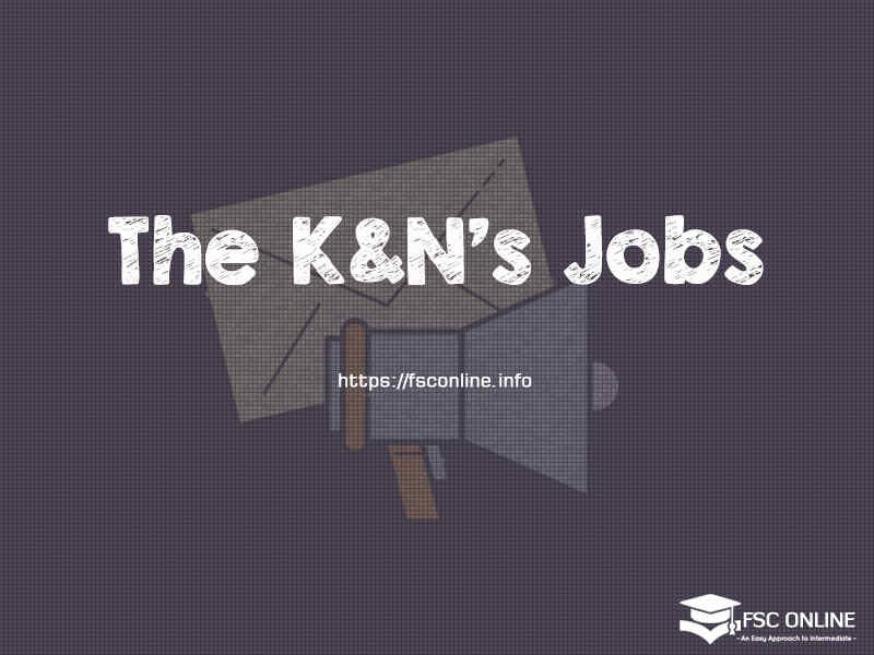 The K&N's Latest April Jobs 2020 | How to Apply