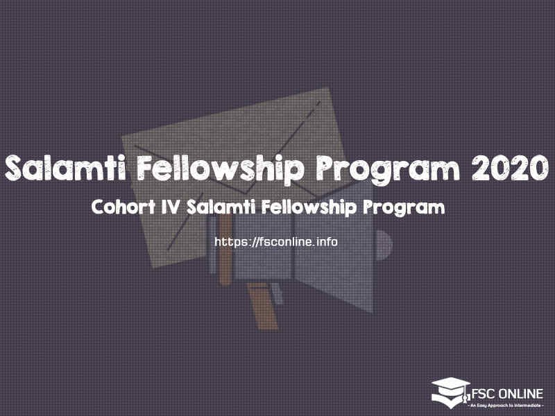 Salamti Fellowship Program 2020 | Cohort IV | Fully Funded Cohort IV Salamti Fellowship Program