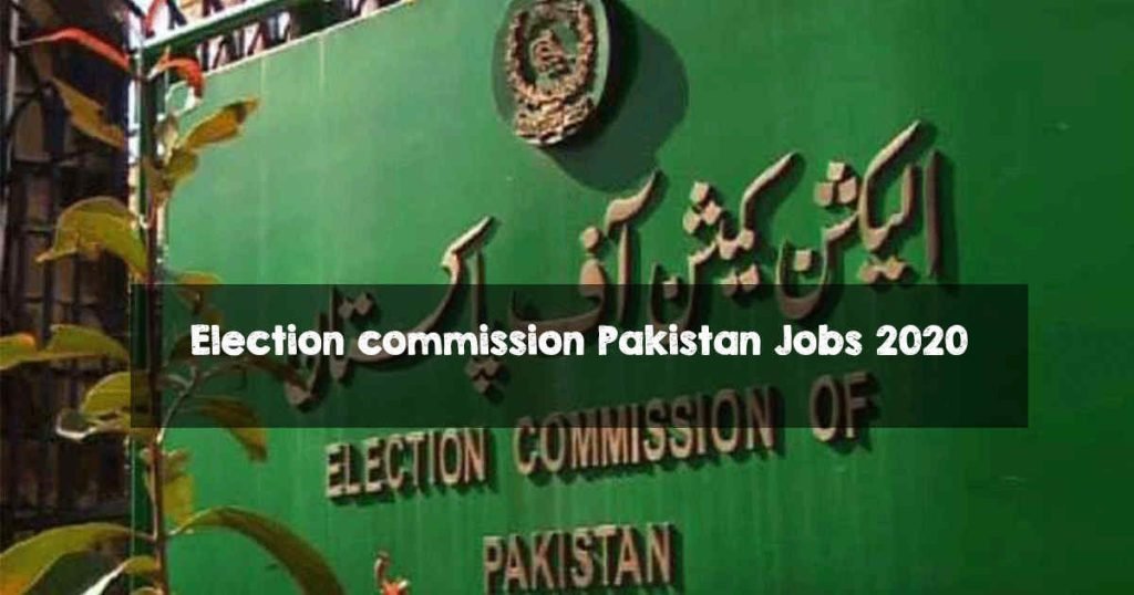 ECP jobs 2020