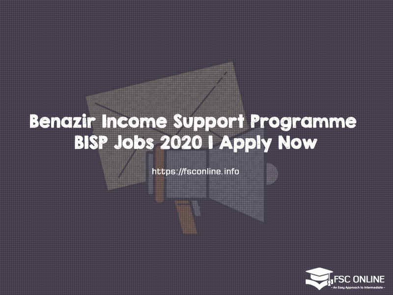 Benazir Income Support Programme BISP Jobs 2020 | Apply Now Benazir Income Support Programme BISP Jobs 2020 | Apply Now