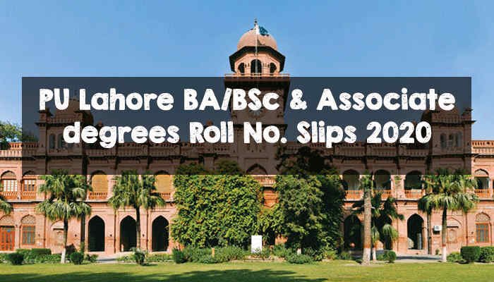 PU Lahore BA/BSc & Associate degrees Roll No. Slips 2020 PU Lahore BA/BSc Roll No. Slips 2020