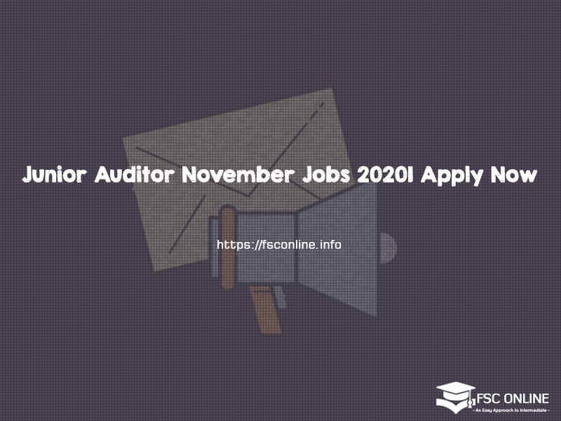 Junior Auditor November Jobs 2020| Apply Now Junior Auditor November Jobs 2020| Apply Now