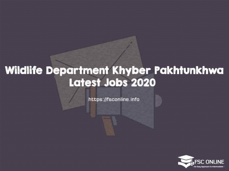 Wildlife Department Khyber Pakhtunkhwa Latest Jobs 2020 Wildlife Department Khyber Pakhtunkhwa Latest Jobs 2020