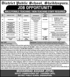District Public School (DPS) Sheikhupura Latest Jobs 2021 | Apply Now