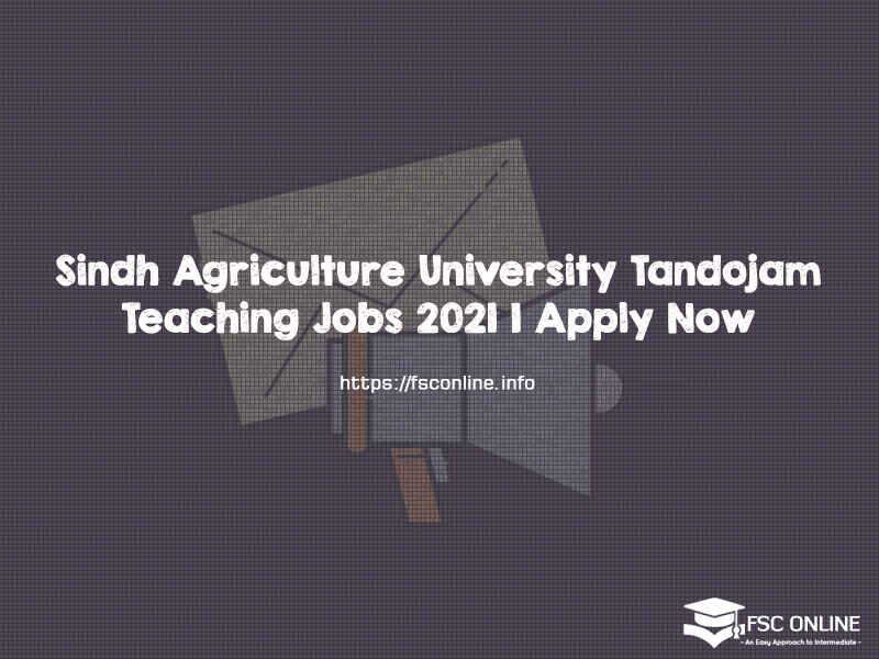 Sindh Agriculture University Tandojam Teaching Jobs 2021 | Apply Now Sindh Agriculture University Tandojam Teaching Jobs 2021 | Apply Now
