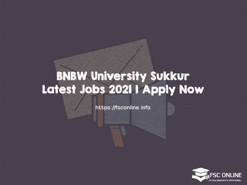 BNBW University Sukkur Latest Jobs 2021 | Apply Now BNBW University Sukkur Latest Jobs 2021 | Apply Now