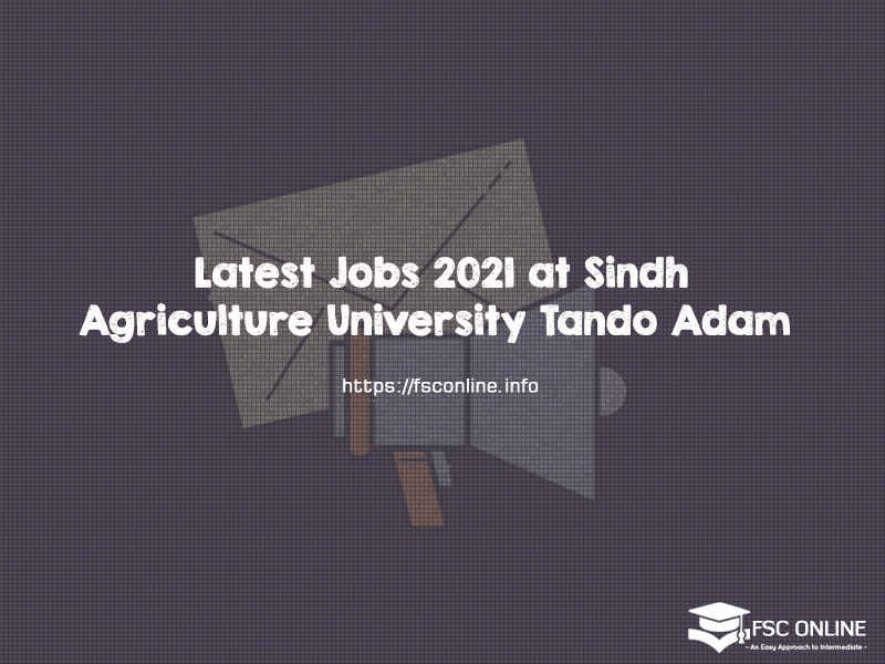 Latest Jobs 2021 at Sindh Agriculture University Tando Adam Latest Jobs 2021 at Sindh Agriculture University Tando Adam