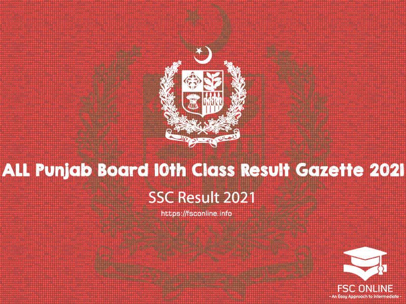ALL Punjab Board 10th Class Result Gazette 2021 | PDF Download ALL Punjab Board 10th Class Result Gazette 2021