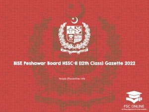 BISE Peshawar Board HSSC-II (12th Class) Gazette 2022