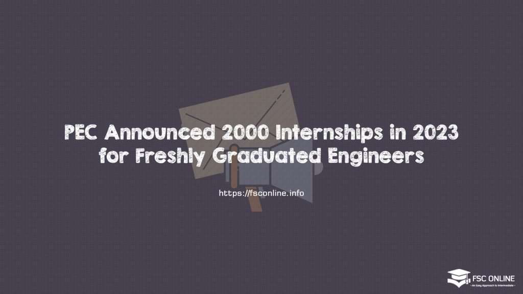 PEC Announced 2000 Internships in 2023 for Freshly Graduated Engineers 