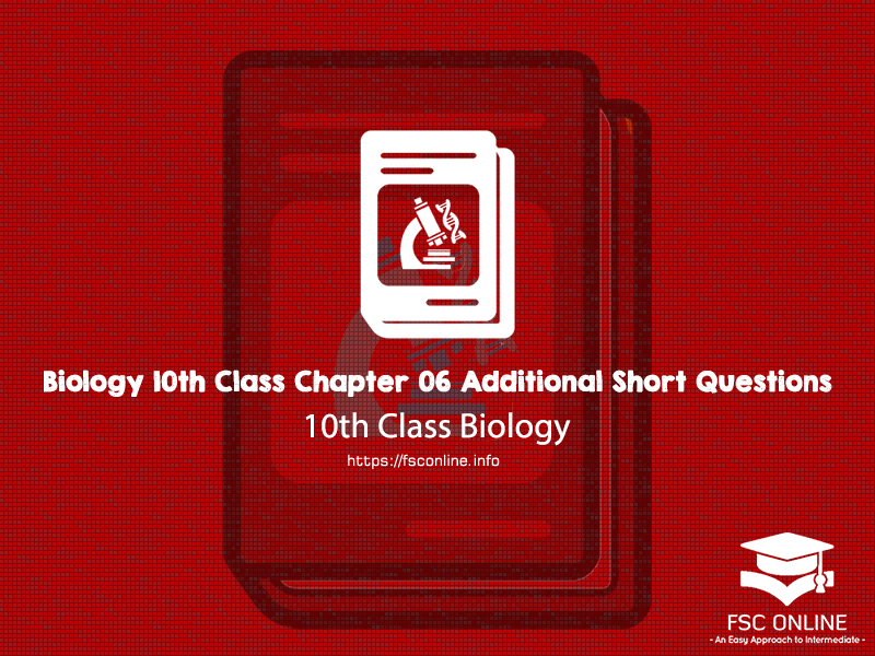 Biology 10th Class Chapter 06 Additional Notes Biology 10th Class Chapter 06 Additional Short Questions
