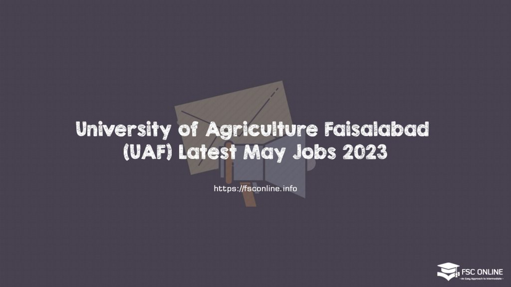 University of Agriculture Faisalabad (UAF) Latest May Jobs 2023