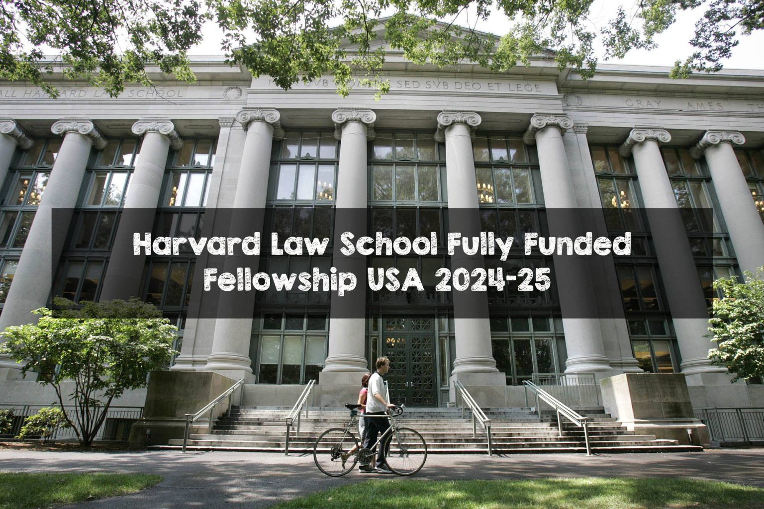 Harvard Law School Fully Funded Fellowship USA 2024-25 