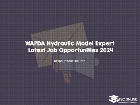 WAPDA Hydraulic Model Expert Latest Job Opportunities 2024